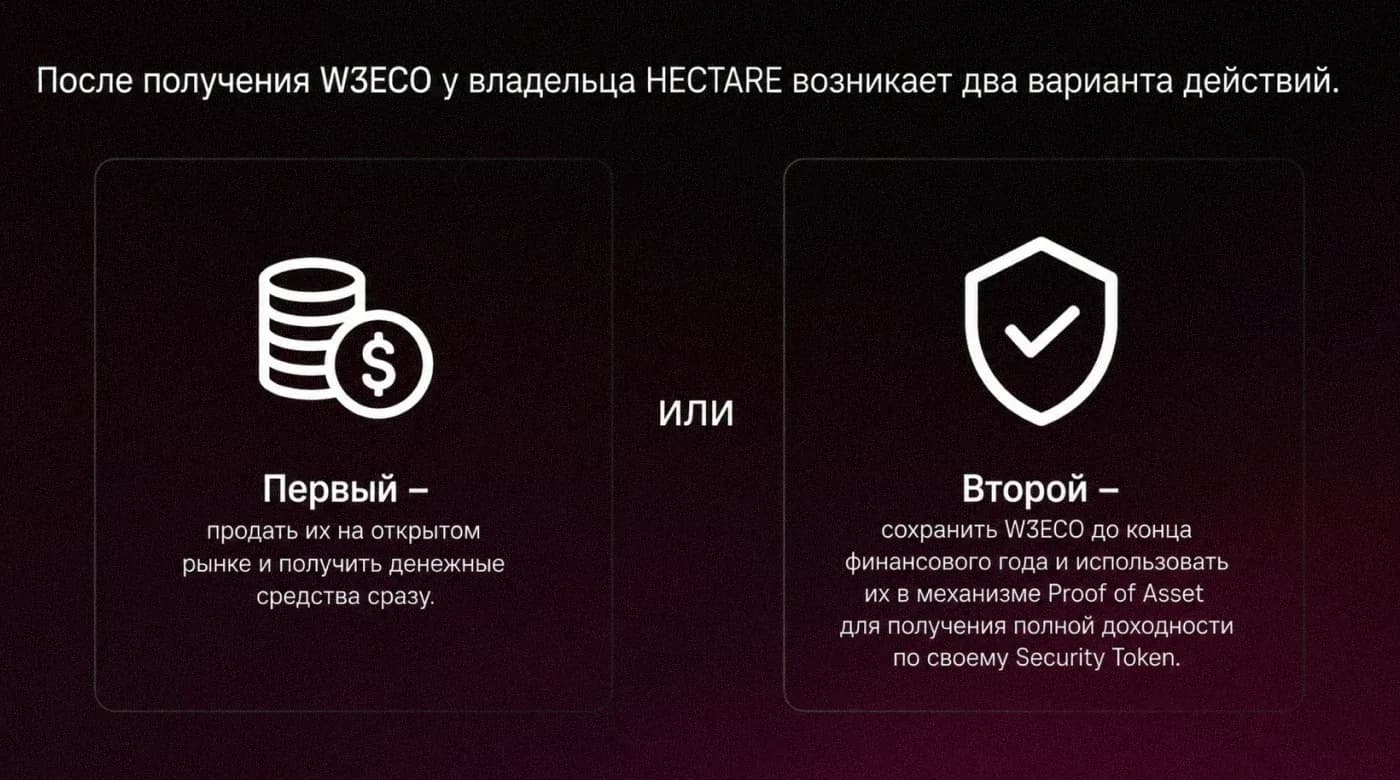 Два варианта действий держателя HECTARE после получения W3ECO